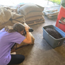 2 lb. ESPRESSO - 'Word'