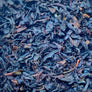 Wild Blueberry Loose Tea - Organic