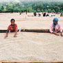 2 lb 100% Organic Ethiopian