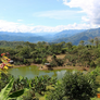 100% Organic Peru - "La Florida"