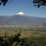 100% Organic Mexico - 'El Cabro Viejo'