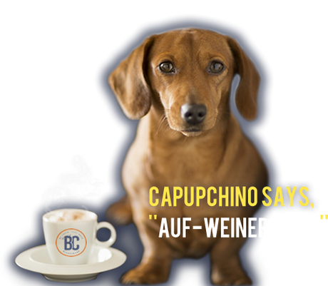 Capupchino Coffee Pup