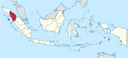 100% Sumatra - 'Badi'